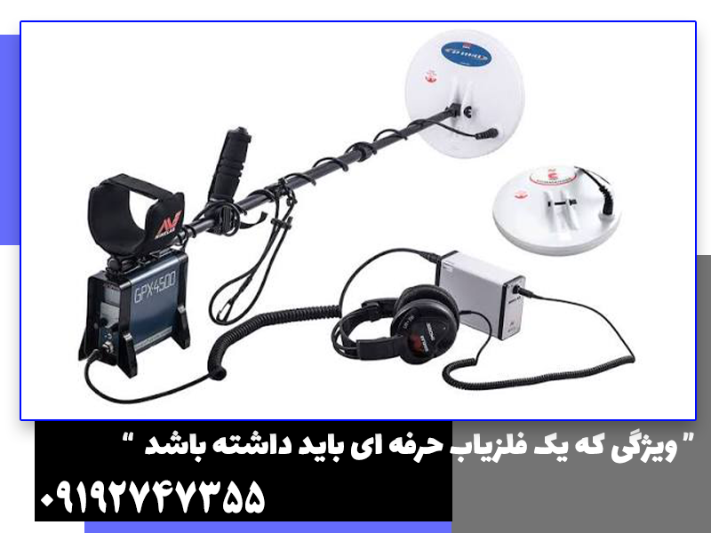 فلزیاب حرفه ای